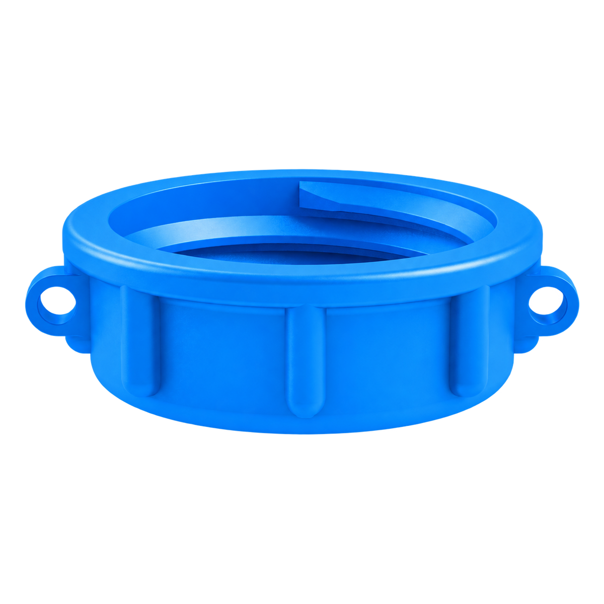 S60X6 Female Dust Cap - Blue Polypropylene