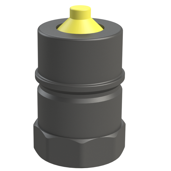 CPP® 2″ Dry-Shut™ Male Valved Adaptor × 2″ BSPP Female