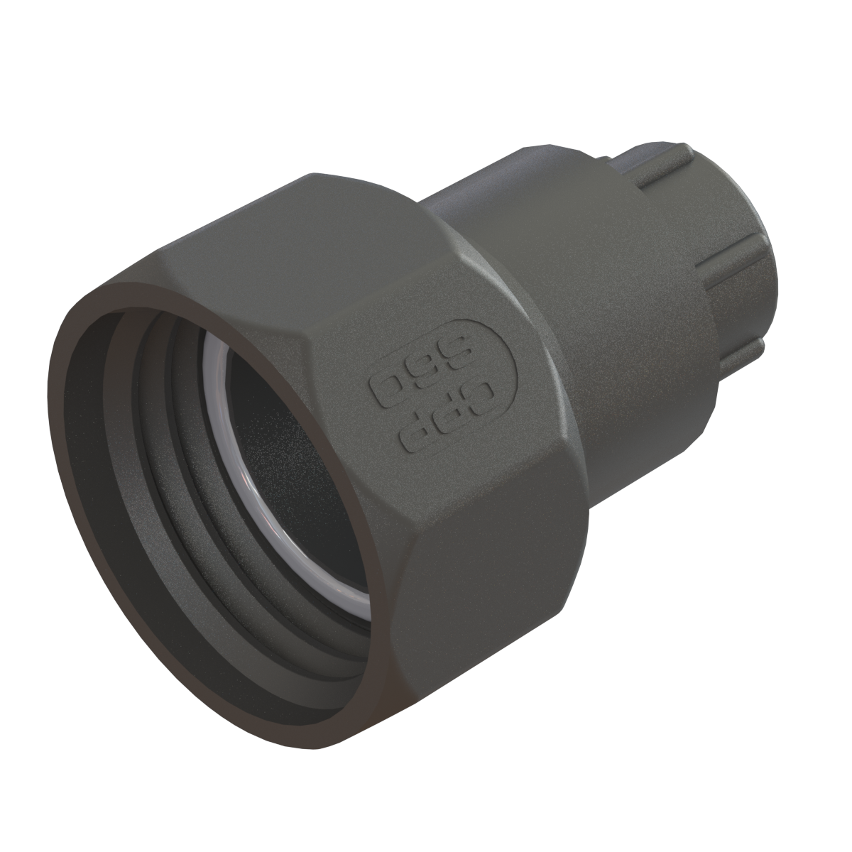 S60x6 Female swivel Buttress x ¾'' BSP Female G/P/P